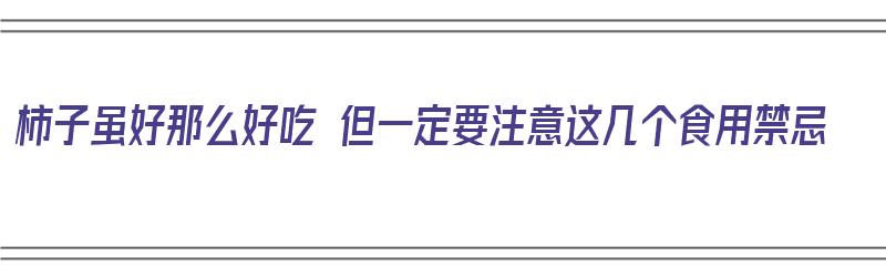 柿子虽好那么好吃 但一定要注意这几个食用禁忌（柿子的食用禁忌）