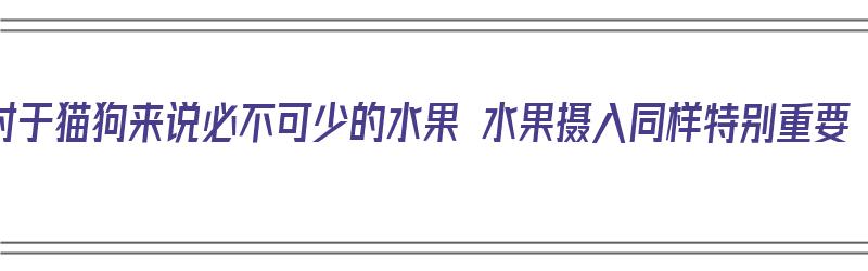 对于猫狗来说必不可少的水果 水果摄入同样特别重要（猫狗可以吃的水果）