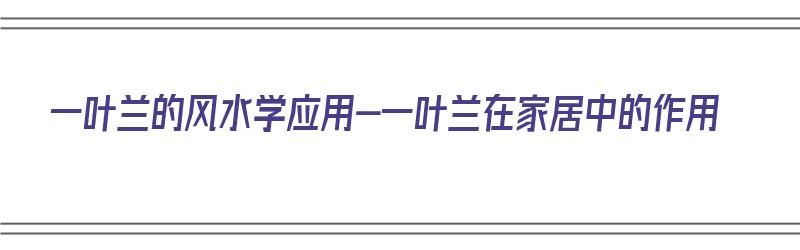 一叶兰的风水学应用-一叶兰在家居中的作用（一叶兰风水禁忌）