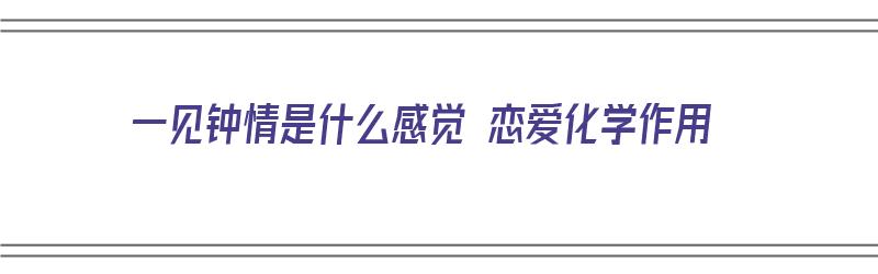 一见钟情是什么感觉 恋爱化学作用（一见钟情的恋爱属于什么）