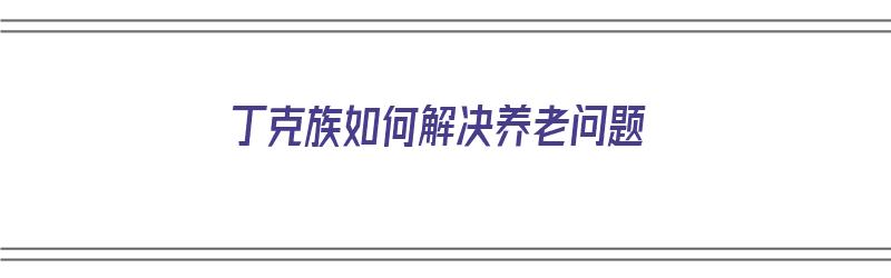 丁克族如何解决养老问题（丁克族如何解决养老问题的方法）