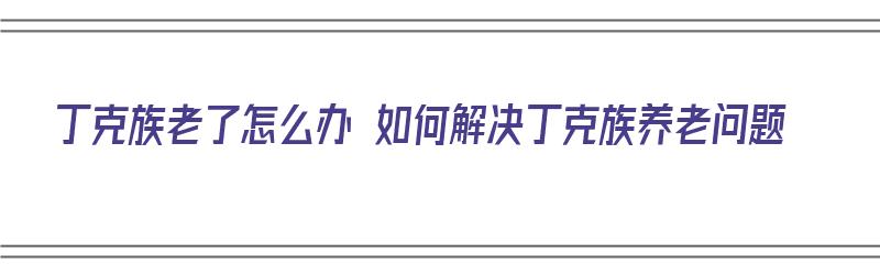 丁克族老了怎么办 如何解决丁克族养老问题（丁克族老了怎么办 如何解决丁克族养老问题呢）