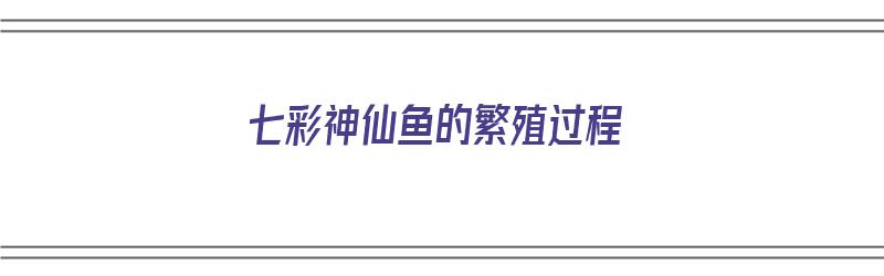 七彩神仙鱼的繁殖过程（七彩神仙鱼的繁殖过程视频）