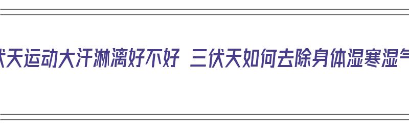 三伏天运动大汗淋漓好不好 三伏天如何去除身体湿寒湿气（三伏天多运动好吗）