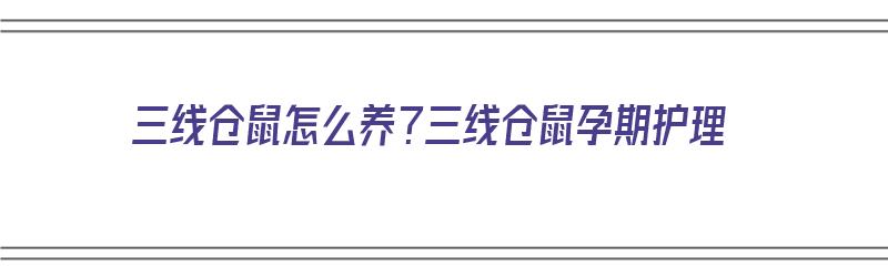 三线仓鼠怎么养？三线仓鼠孕期护理（三线仓鼠怀孕图片）