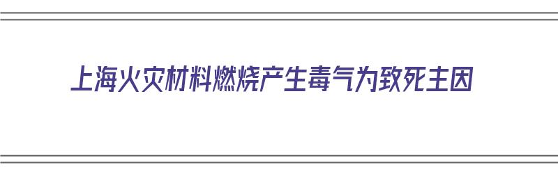 上海火灾材料燃烧产生毒气为致死主因（上海火灾材料燃烧产生毒气为致死主因是什么）