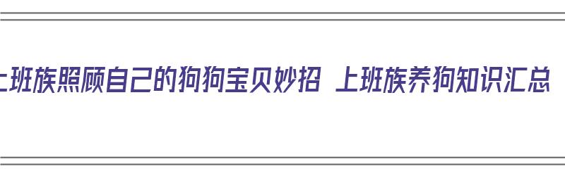 上班族照顾自己的狗狗宝贝妙招 上班族养狗知识汇总（上班族怎么照顾狗狗）