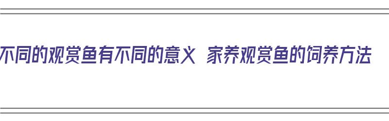 不同的观赏鱼有不同的意义 家养观赏鱼的饲养方法