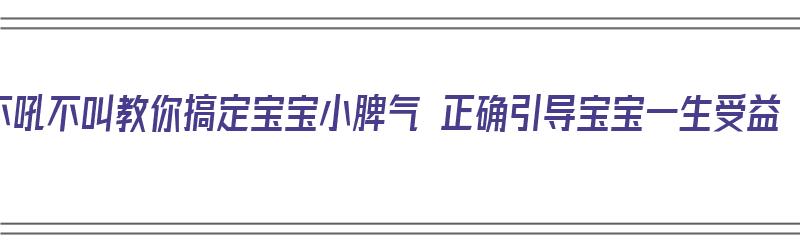 不吼不叫教你搞定宝宝小脾气 正确引导宝宝一生受益（如何对宝宝不发脾气）