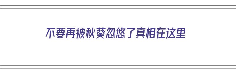 不要再被秋葵忽悠了真相在这里