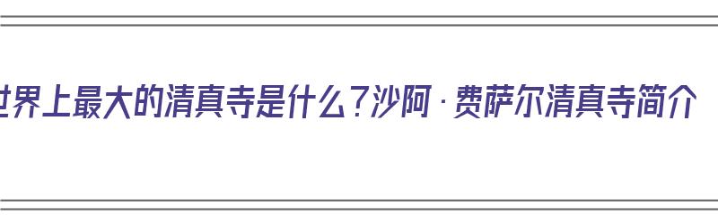 世界上最大的清真寺是什么？沙阿·费萨尔清真寺简介（世界上规模最大的清真寺）