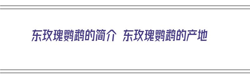 东玫瑰鹦鹉的简介 东玫瑰鹦鹉的产地（东玫瑰鹦鹉是不是国家保护动物）