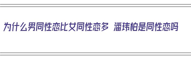 为什么男同性恋比女同性恋多 潘玮柏是同性恋吗（为什么叫潘玮柏潘帅）