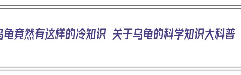 乌龟竟然有这样的冷知识 关于乌龟的科学知识大科普（乌龟的知识大全）