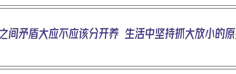 二孩之间矛盾大应不应该分开养 生活中坚持抓大放小的原则（二孩矛盾冲突怎么破）