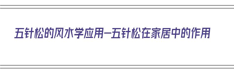 五针松的风水学应用-五针松在家居中的作用（五针松风水学和寓意）