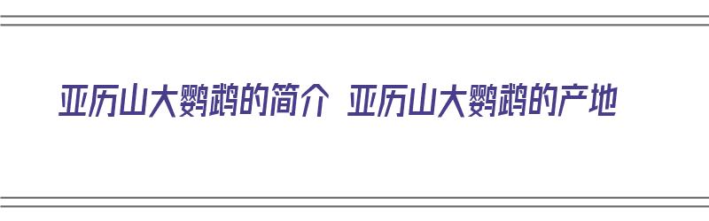 亚历山大鹦鹉的简介 亚历山大鹦鹉的产地（亚历山大鹦鹉的价钱）