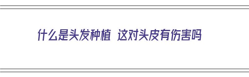 什么是头发种植 这对头皮有伤害吗（头发种植是什么意思）