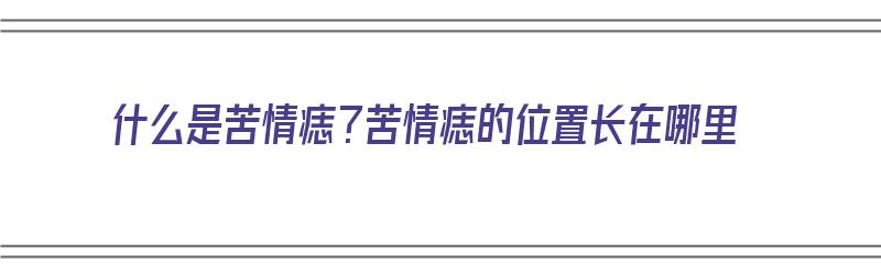 什么是苦情痣？苦情痣的位置长在哪里（什么是苦情痣?苦情痣的位置长在哪里呢）