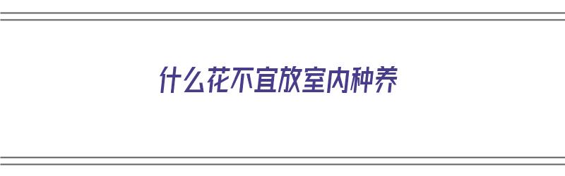 什么花不宜放室内种养（什么花不宜放室内种养呢）