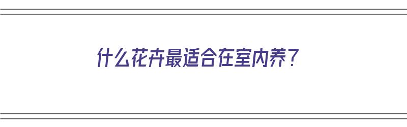 什么花卉最适合在室内养？（什么花卉最适合在室内养殖）