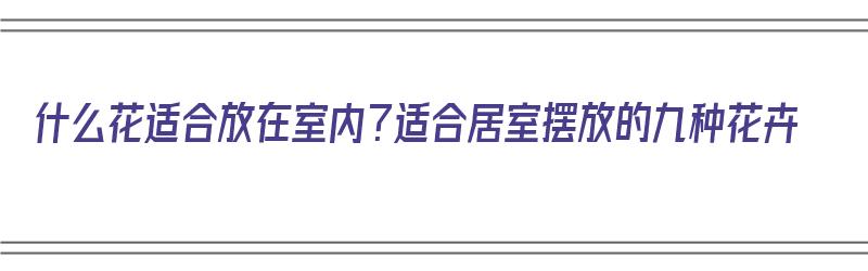 什么花适合放在室内？适合居室摆放的九种花卉（什么花适合放在室内?适合居室摆放的九种花卉有哪些）