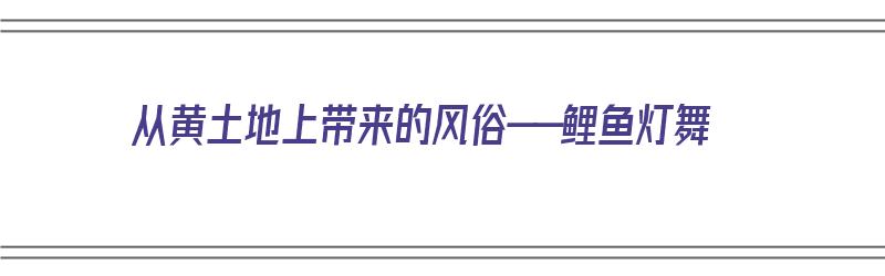 从黄土地上带来的风俗——鲤鱼灯舞（鲤鱼灯舞视频）