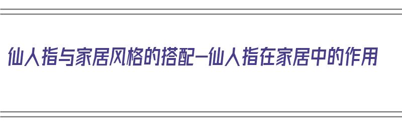 仙人指与家居风格的搭配-仙人指在家居中的作用（仙人指放在家里哪个位置好）