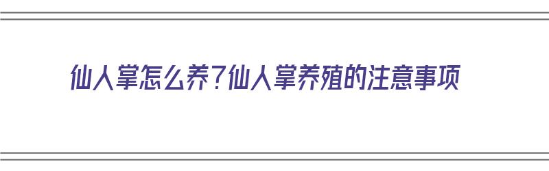 仙人掌怎么养？仙人掌养殖的注意事项（仙人掌怎么养?仙人掌养殖的注意事项）