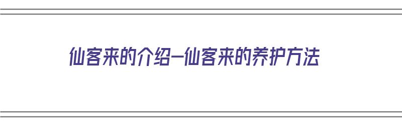 仙客来的介绍-仙客来的养护方法（仙客来的养护技巧）