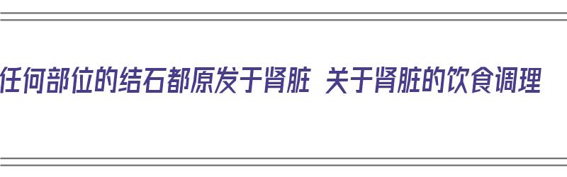 任何部位的结石都原发于肾脏 关于肾脏的饮食调理（结石是什么原因造成的肾）