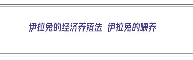 伊拉兔的经济养殖法 伊拉兔的喂养（伊拉兔的饲养与管理）