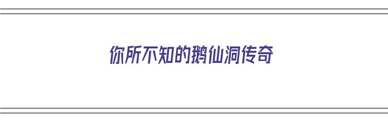 你所不知的鹅仙洞传奇（你所不知的鹅仙洞传奇在线观看）