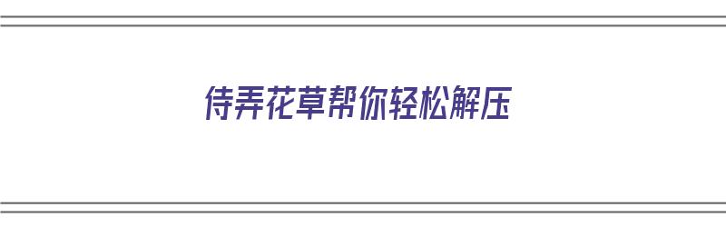 侍弄花草帮你轻松解压（侍弄花草什么意思）