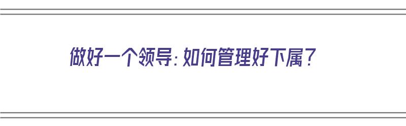 做好一个领导：如何管理好下属？（领导怎样管好下属）