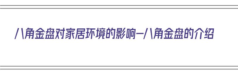 八角金盘对家居环境的影响-八角金盘的介绍（八角金盘的风水作用）