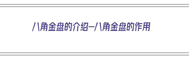 八角金盘的介绍-八角金盘的作用（八角金盘的用途）