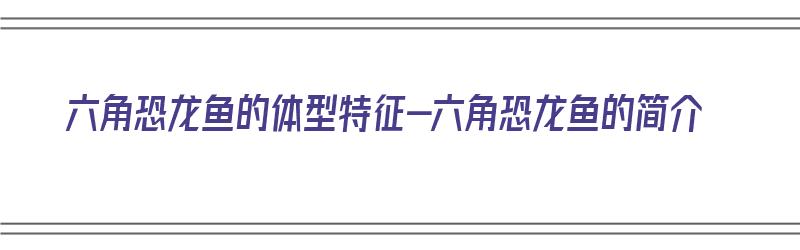 六角恐龙鱼的体型特征-六角恐龙鱼的简介（六角恐龙鱼长什么样?）