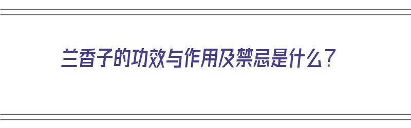 兰香子的功效与作用及禁忌是什么？（兰香子的功效与作用及禁忌是什么呢）