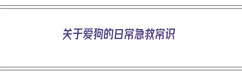 关于爱狗的日常急救常识（关于爱狗的日常急救常识有哪些）