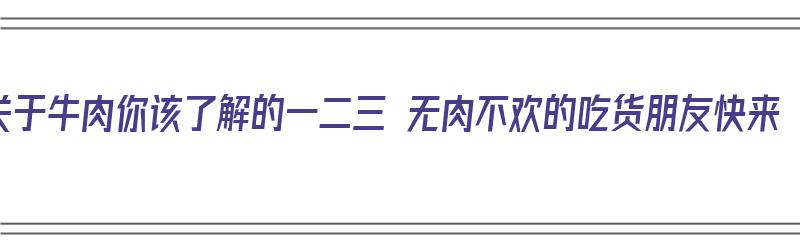 关于牛肉你该了解的一二三 无肉不欢的吃货朋友快来（牛肉说明）