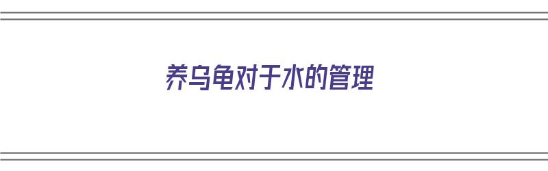 养乌龟对于水的管理（养乌龟对于水的管理是什么）