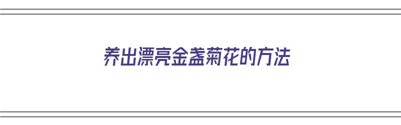 养出漂亮金盏菊花的方法（养出漂亮金盏菊花的方法是什么）