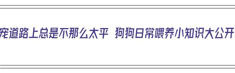 养宠道路上总是不那么太平 狗狗日常喂养小知识大公开（狗狗喂养指南）