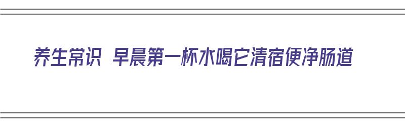 养生常识 早晨第一杯水喝它清宿便净肠道（早上第一杯水喝什么）