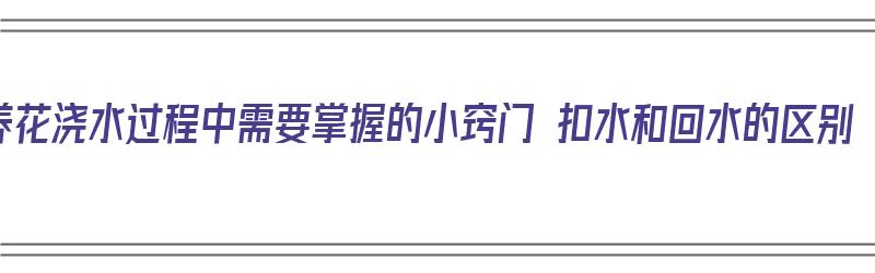 养花浇水过程中需要掌握的小窍门 扣水和回水的区别（养花什么叫扣水）