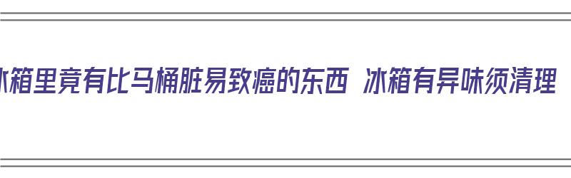 冰箱里竟有比马桶脏易致癌的东西 冰箱有异味须清理（冰箱里面的异味对人体有害吗）