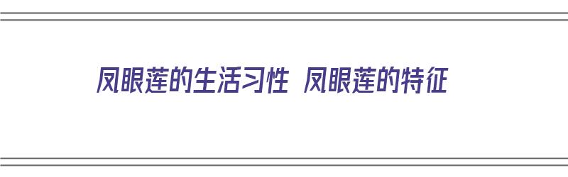 凤眼莲的生活习性 凤眼莲的特征（凤眼莲的特点是什么）