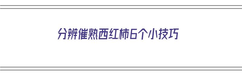 分辨催熟西红柿6个小技巧（分辨催熟西红柿6个小技巧视频）