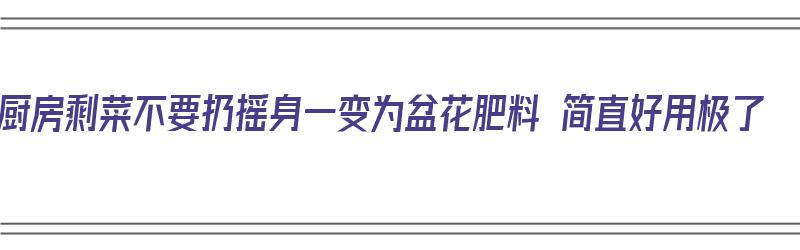 厨房剩菜不要扔摇身一变为盆花肥料 简直好用极了